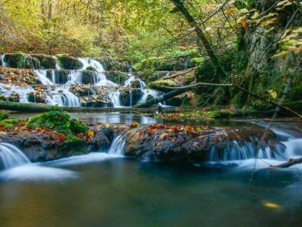 9 Hours Sleep Track - Calm River Nature Sounds For Sleep