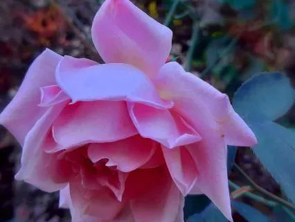 9 Hrs Pink Noise: Sleep, Starting With Piano-Dusk To Sleep