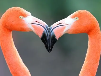 Transformative Affirmations: Confidence In Relationship