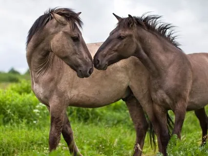 Transformative Affirmations: Confidence & Empowerment