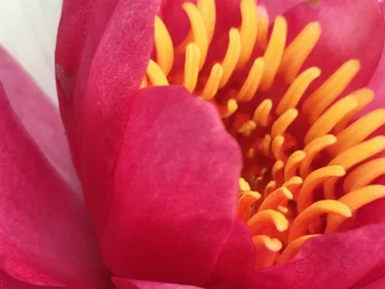 9-Minute Compassion Practice