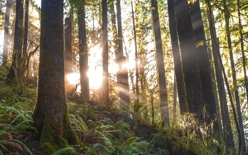 9 Minute Grounding Meditation