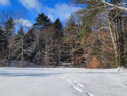 Mindfulness Meditation To Awaken Your Senses