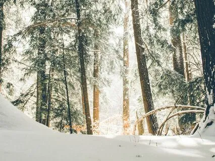 7-Minute || Immune System Recharge Meditation