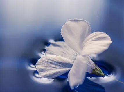 9-Minute Morning Meditation For Anxiety