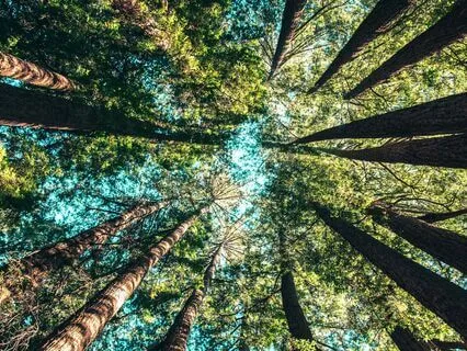 9-Minute Positive Morning Meditation