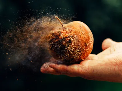 Heartfulness Practice