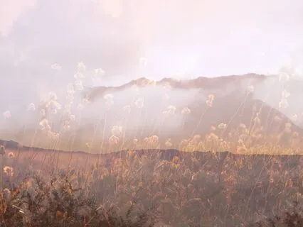 9 Minutes Of Mountain Sounds To Bring You To The Present