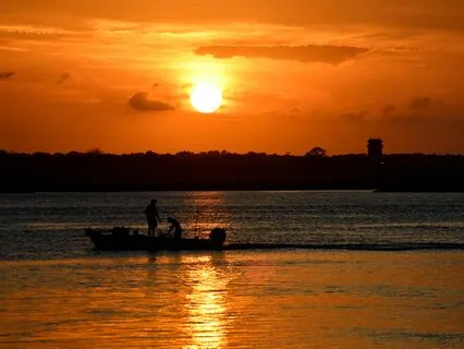 Miracle Manifestation Frequencies (Sacred Tones Matrix)