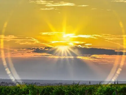 9 Solfeggio Frequencies For Complete Cell Regeneration