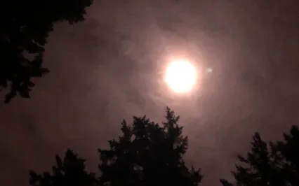 90 Min Guided Meditation For Insomnia | Drift Off To Sleep