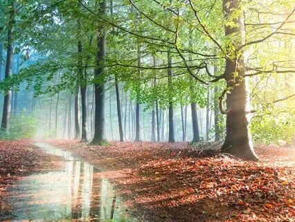 90 min Ruhige Geräusche vom Fluss, Wassergeräusche