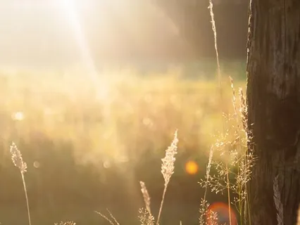 90 Minute Morning Stress Relief 