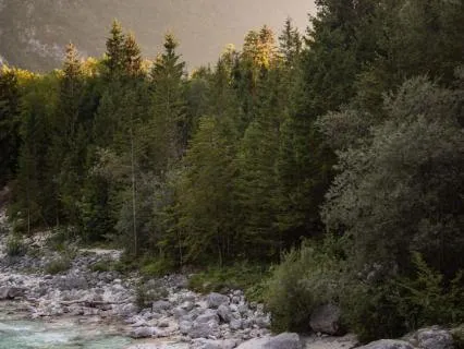 90-Minute Non-Sleep Deep Rest: Waves For Burnout & Overwhelm