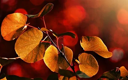 90 Minutes Brown Noise For Focus, Sleep, And Comfort