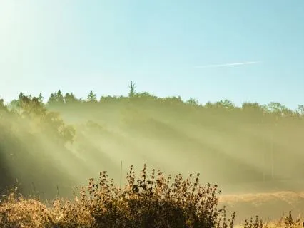 90-Minute Brain Wave Reset