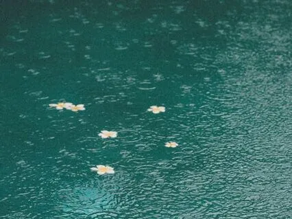 90 Minutes Rain Sound Bath To Fall Asleep To