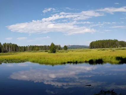 90-Second Heart-Opening Energy Boost