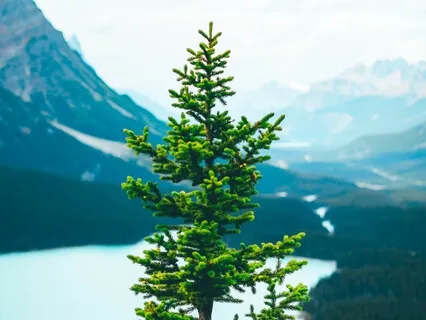 90 Seconds To Breathe, Center & Reset