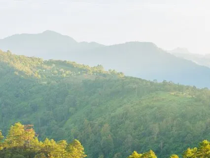 963 Hz Divine Awakening | Higher Consciousness