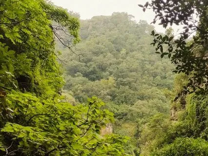 963 Hz | Frecuencia Bonita |  Living The Divine Gift