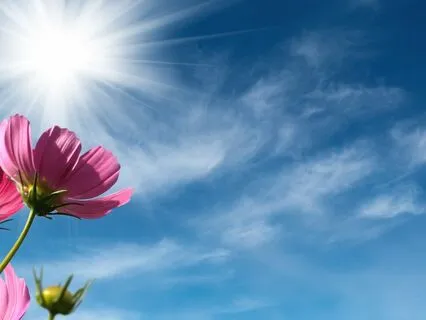 963 Hz God's Frequency. 2 Songs 963 Hz + 15' Pure Tone 963Hz