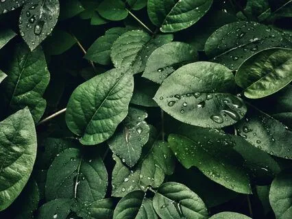 963 Hz + 432 Hz Activate The Higher Mind