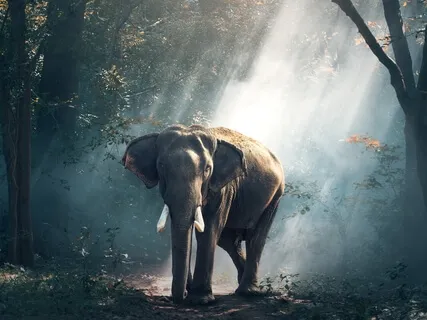 963Hz Activate Pineal Gland