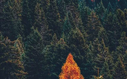 963Hz - Crown Chakra Healing - Connection To Higher Realms