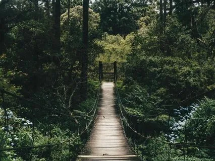 963Hz Heals The Body, Mind, And Spirit