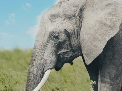 963Hz Open Up To The Universe