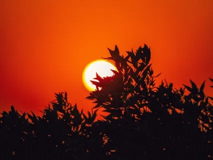 963Hz + 10Hz Alpha Waves Connect With Your Higher Self