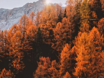 963Hz Solfeggio Frequency - The God Frequency