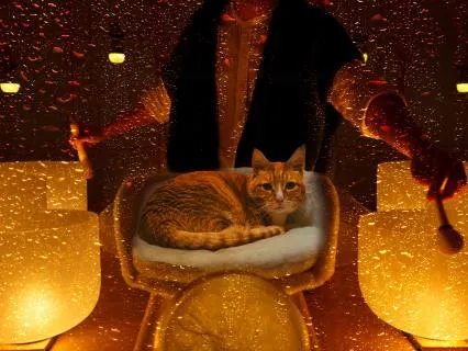 99 Problems, But Sleep Ain't One - Music For Sleep