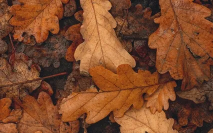 999Hz Angel Number, No Coincidences You've Arrived Here