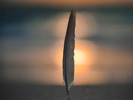 999Hz Divine Oneness & Pure Sleep Frequencies