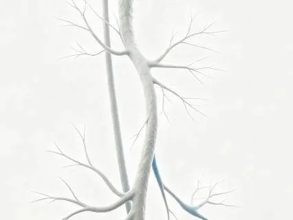 9m Chronic Burnout Quick Reset: Vagal Brake Activation NSDR
