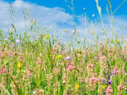 A 10-Minute Meditation For Conscious Co-Creation