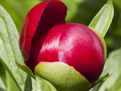 A 10-Minute Reset: Back To The Heart