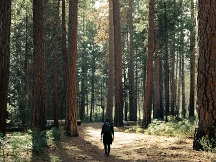 A 10 Part Course On Holistic Health & Living: Replanting Beliefs