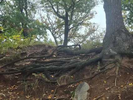 A 2 Minute Grounding Meditation