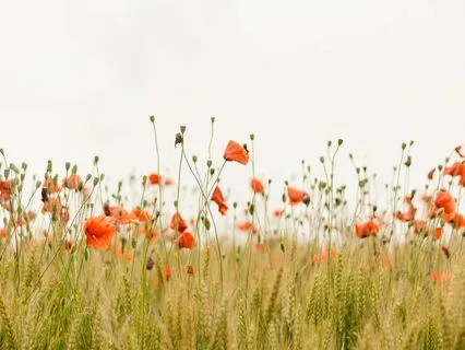 A 3 Minute Daily Lift - Lighten The Weight Of Depression