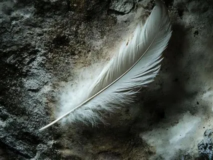 A 3-Minute Pause For When You’re Overstimulated