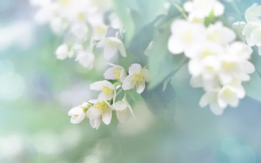 A 5 Minute Exercise For Breath Awareness w/ Dr. Kate Truitt