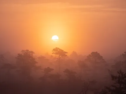 A 5-Minute Meditation | Focused & Intentional