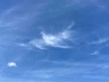 A 5-Minute Morning Meditation
