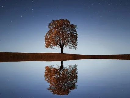 A 6-Minute Body Scan