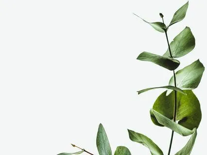 A 7-Minute Meditation For Stability And Grounding