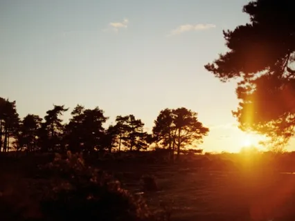 A Balm For Loneliness | 18-Minute Loving-Kindness Meditation