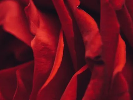 A Bath Of Love: Self-Care Meditation